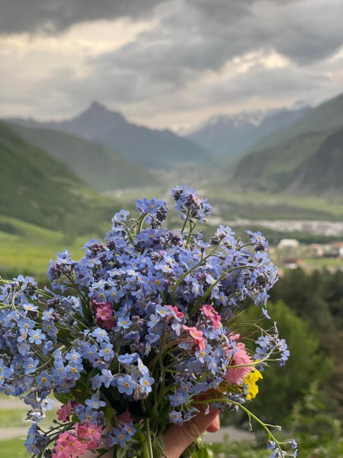 Aura Cottages Казбеги Екстериор снимка